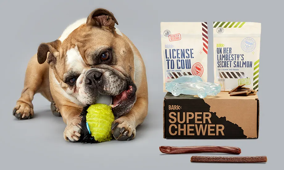 Super Chewer Super Chewer