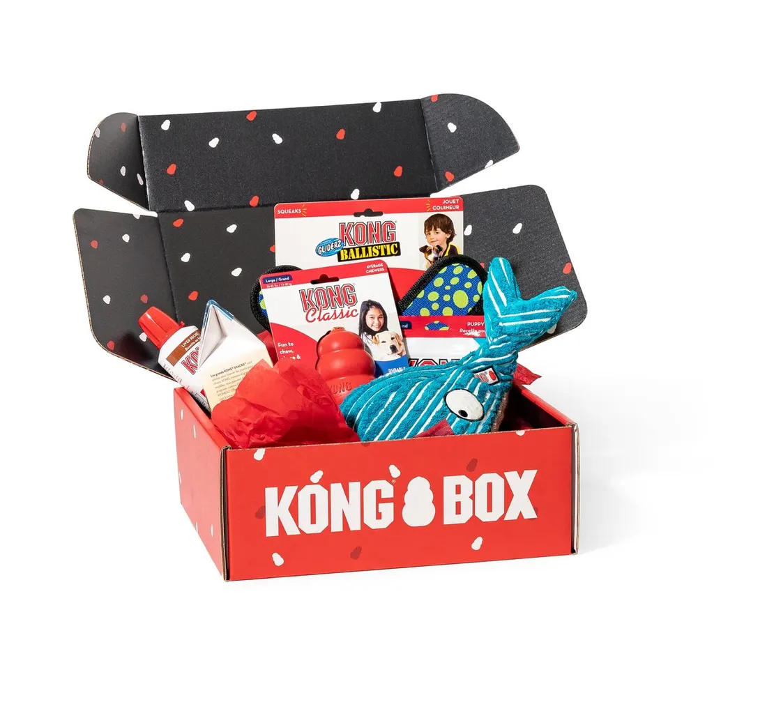 Kong Box Kong Box