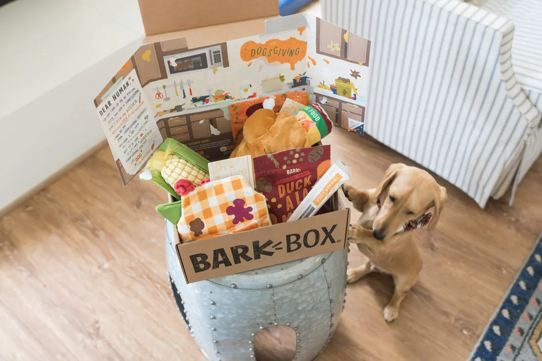 BarkBox