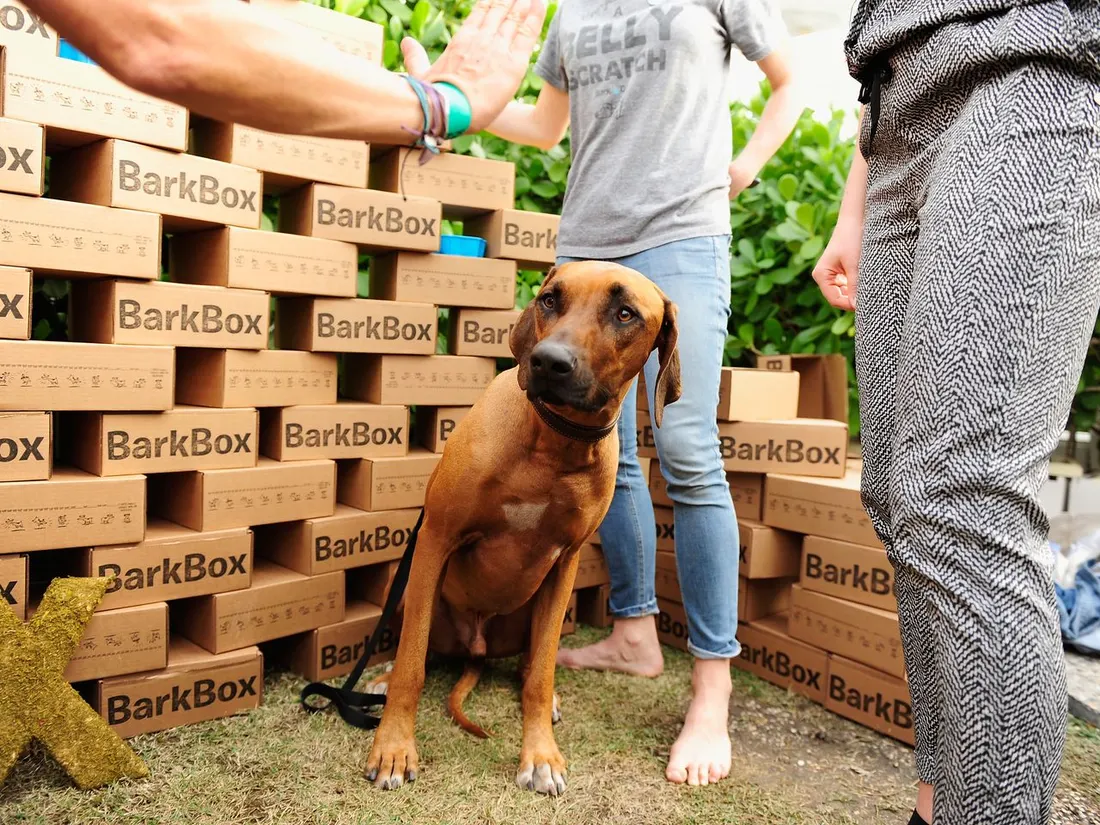 BarkBox