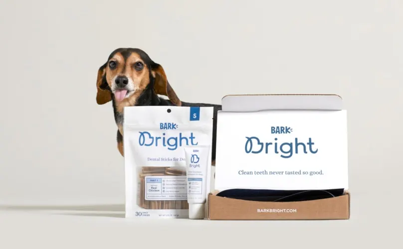 BarkBright