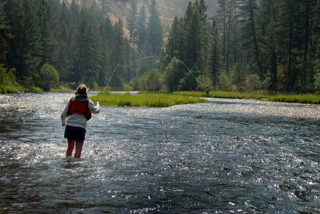 Freestone Fly Fishing Company