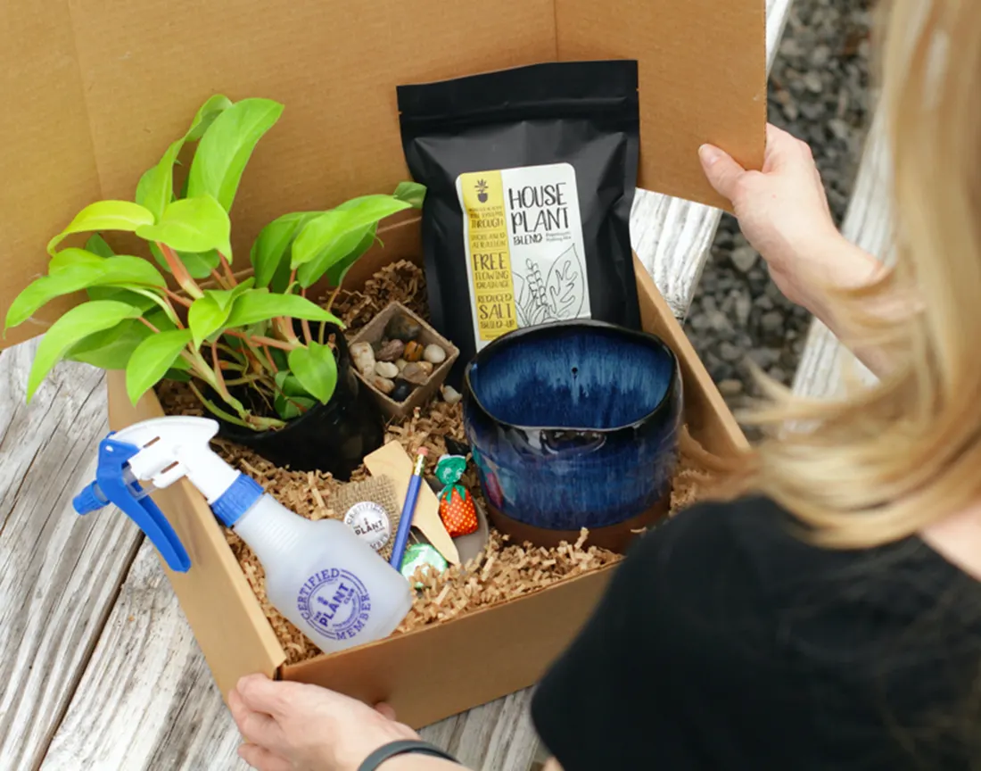 My Garden Box