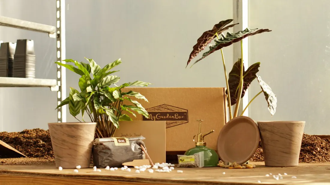 My Garden Box