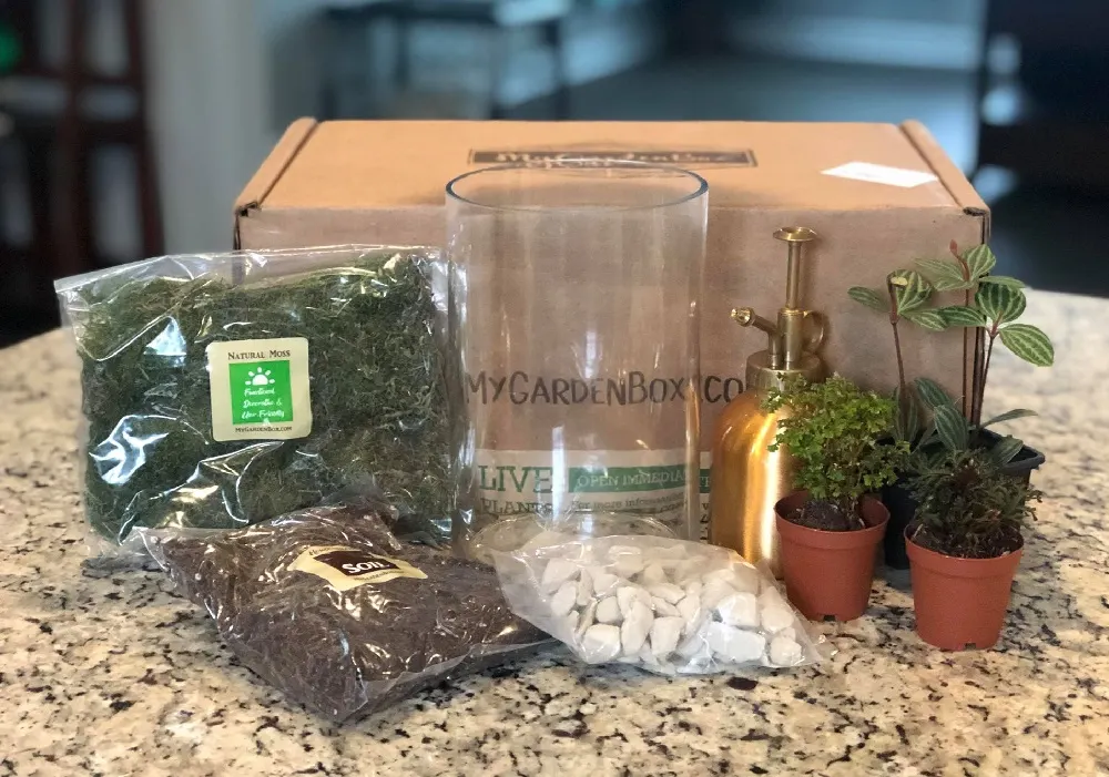 My Garden Box