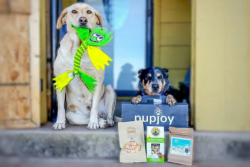 PupJoy