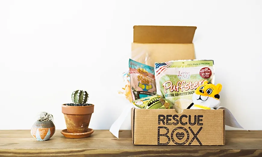 RescueBox